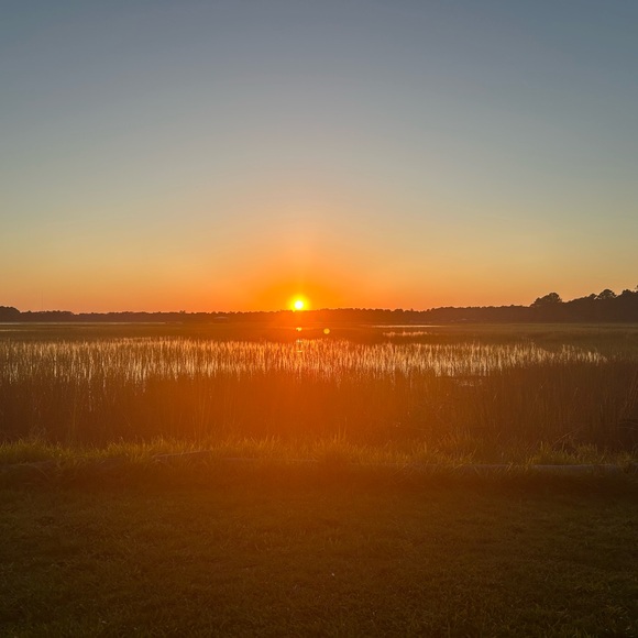 Meet your Posher, Catina - Picture 1 of 1